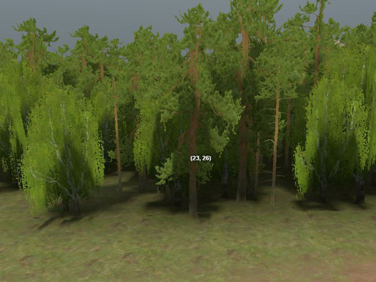 0_1544481872562_trees.JPG